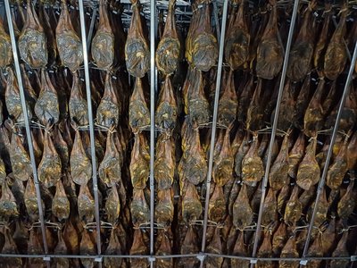 Paletas biologiques dans la cave de Domecq