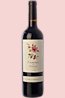 Vin rouge jeune crianza Priorat Camins del Priorat 2013