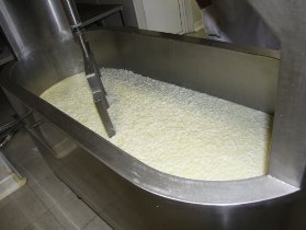 Processus d’élaboration du fromage Idiazabal