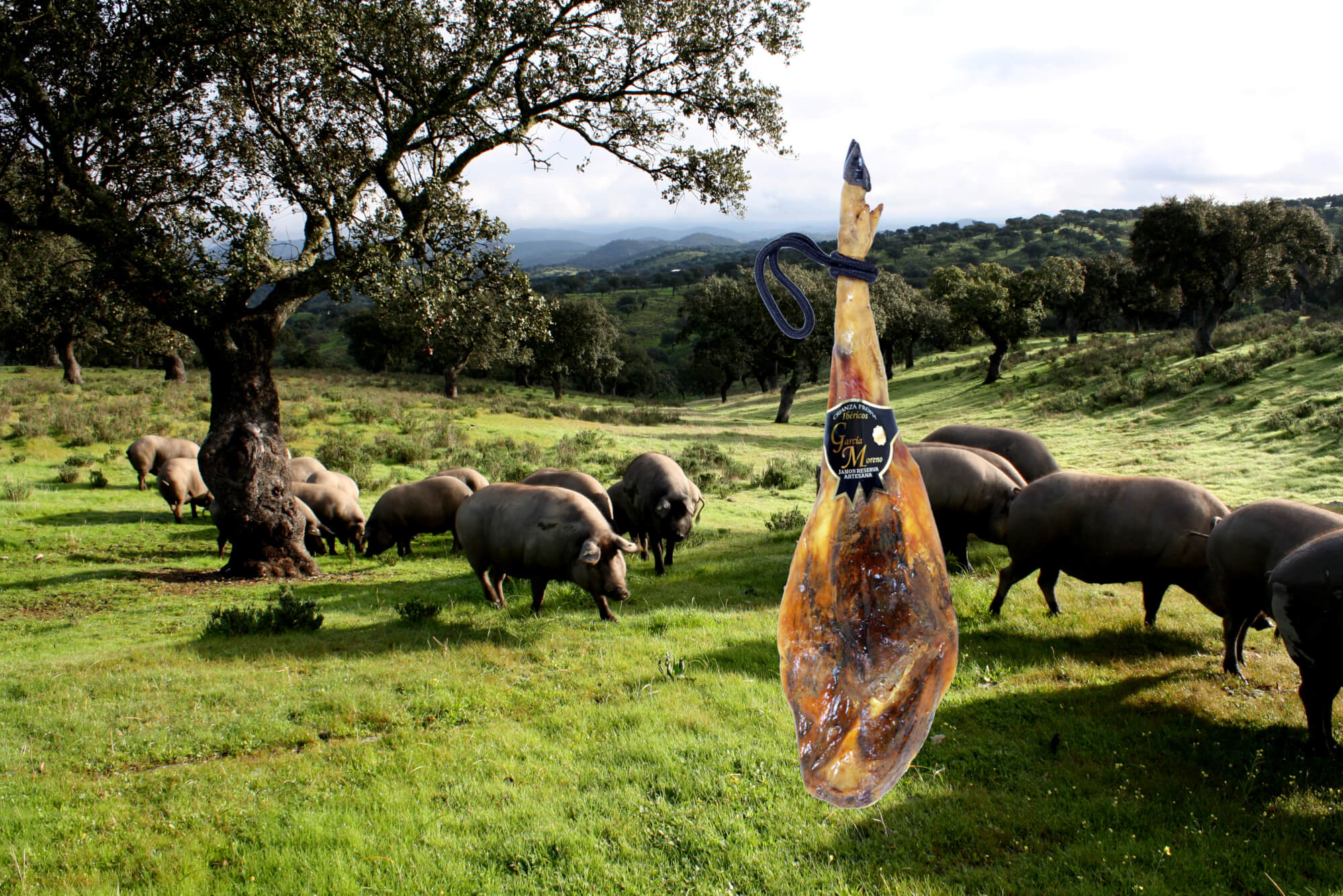 -20% Jambon GM e Hijos